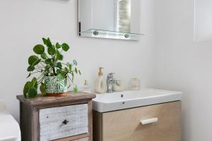 a bathroom with a sink and a potted plant at Gîte La P'tite Longère in Saint-Jacut-les-Pins