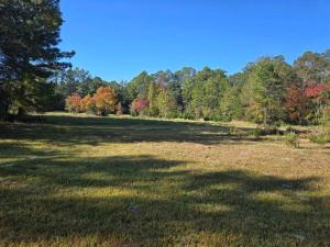 a large grass field with trees in the background at The Whip-o-Will in Moss Point +8 photos