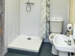 a bathroom with a shower and a toilet and a sink at Woodpecker Hollow - Uk45980 in Ebchester