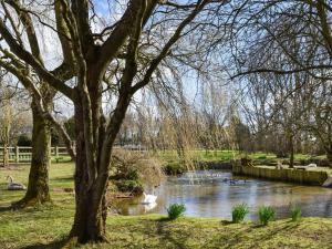 a pond in a park with ducks in the water at Swallow Cottage - Uk49756 in Little Singleton