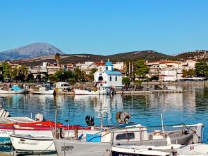 a group of boats are docked in a harbor at Kyma studio Modern Stay in Nea Artaki