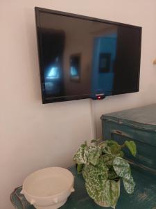 a plant sitting on a table in front of a tv at Villa Roc Guesthouse - Pet Friendly in Ballito