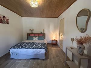 a bedroom with a bed and a mirror on the wall at gites de la Vaysse in Vergt-de-Biron