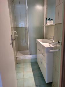 a bathroom with a shower and a sink and a tub at La Petite Pierre d'Octave Nr 1 in Saint Laurent Nouan
