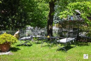 a group of benches sitting in the grass near a tree at Appartamenti La Menaresta quiet & relax near Bellagio in Magreglio