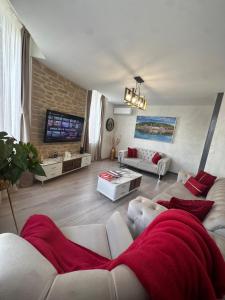 a living room with a couch and a tv at Tain centre -T3- wine themed apartment in Tain-lʼHermitage