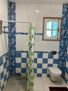 a blue and white bathroom with a toilet and a window at Le palmier in Mezraya +3 photos
