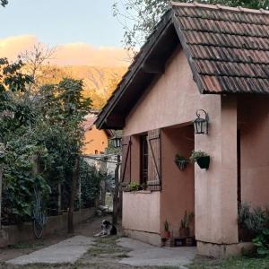 a dog sitting outside of a small house at Génesis in Merlo