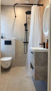 a bathroom with a shower and a toilet and a sink at Türi Cozy Apartment in Türi