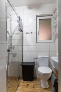 a bathroom with a toilet and a shower and a sink at Leśna Przystań in Sasino +29 photos