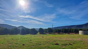 a green field with mountains in the background at Aqua Farm - Unit 3 in Teba +3 photos