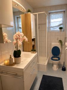 a bathroom with a sink and a toilet and a mirror at Niklasdorf Bergblick/Erholung in Niklasdorf
