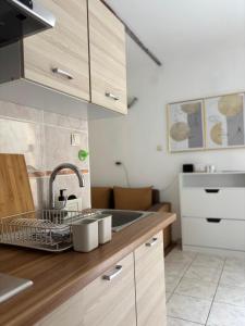 a kitchen with a sink and a counter top at Apartments New Charming in Senj