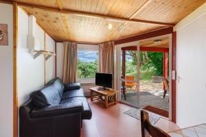 a living room with a couch and a television at Chalet Le Tilleul in Salignac Eyvigues