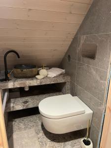 a bathroom with a white toilet in a room at Småstranda 7B Boathouse in Store Teisten