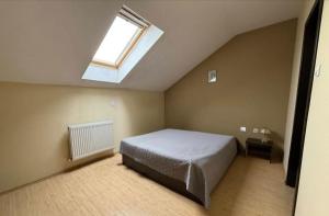 a bedroom with a bed and a skylight at Alfa Mall in Sibiu