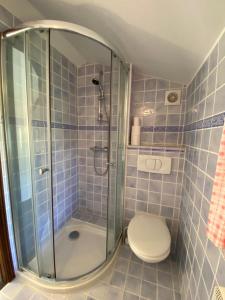 a blue tiled bathroom with a toilet and a shower at La chambre du Mazet in Fayence