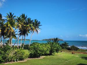 a view of a beach with palm trees and the ocean at Vista Azul Apartment in Punta Santiago