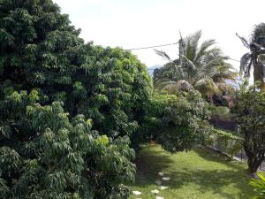 Vrt pred nastanitvijo Appartement Les Bougainvilliers Vue Mer