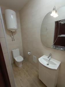 a bathroom with a toilet and a sink and a mirror at Отель Гетьман in Broska