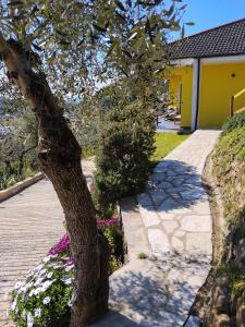 a tree in front of a house with a sidewalk at Le Drupe in Chiavari