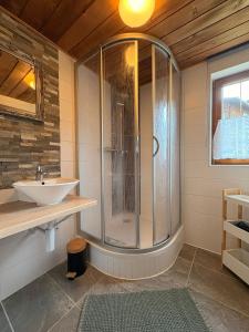 a bathroom with a shower and a sink at Alphüsli Garfrescha in Sankt Gallenkirch