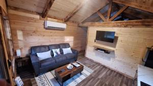a living room with a couch and a tv in a cabin at Micham's Clark Fork River Retreat - River Front, Mountain View, Fire Pit - Cabin 1 in Superior +2 photos