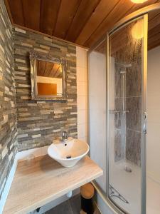a bathroom with a sink and a shower at Alphüsli Garfrescha in Sankt Gallenkirch +22 photos