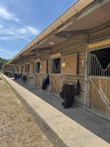 a wooden barn with horses inside of it at Studio les Écuries de la forêt 2 in Le Buisson Genois