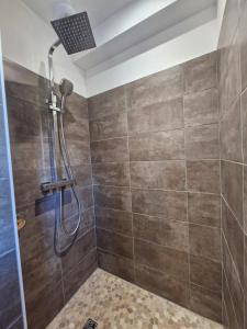 a shower with a shower head in a bathroom at Le Clos des Elfes - suite climatisée in La Roque-Gageac