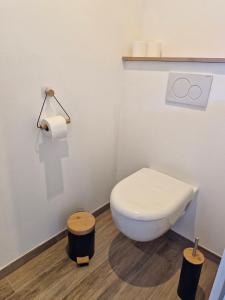 a bathroom with a toilet and a roll of toilet paper at Le Clos des Elfes - suite climatisée in La Roque-Gageac