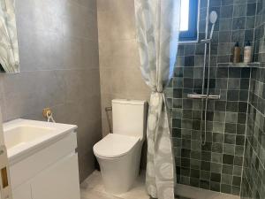 a bathroom with a toilet and a shower curtain at Fedon in Halki +23 photos