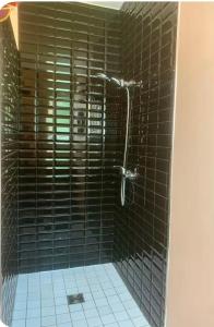 a bathroom with a shower with black tile at Les Glycines-chambre d'hôtes in Chârost