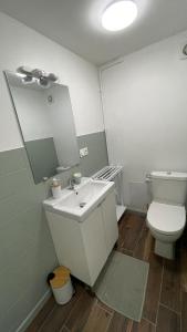 a bathroom with a toilet and a sink and a mirror at Les Cyprès in Vienne