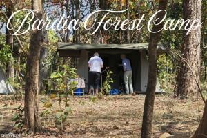 two men standing in front of a tent in the woods at Bardia Forest Camp in Bardiyā