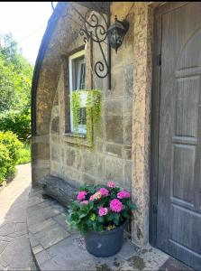 a door with a pot of flowers next to a window at Kupol for rest in Irpin