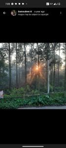 a picture of the sun shining through the trees at GURU RESIDENCY yercaud in Yercaud +2 photos
