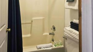 a bathroom with a tub and a shower with towels at Modern Moose Free Shuttle to SDC in Branson