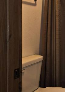 a bathroom with a toilet and a shower curtain at Modern in the Mountains Free Shuttle to SDC in Branson