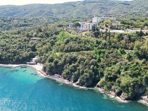 an aerial view of a beach with trees and water at Residenza Verde Blu - ArgonautiVacanze in Capoliveri