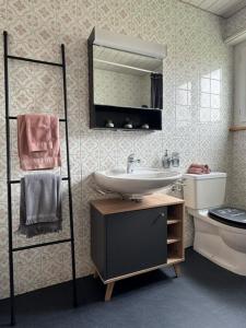 a bathroom with a sink and a mirror and a toilet at inHome Vista Murten in Murten