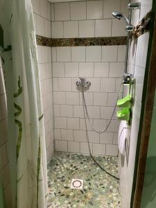a shower with a hose in a bathroom at Chambre D'hôtes Du Mas in Saint-Vitte-sur-Briance