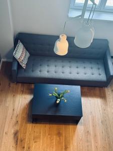 a blue couch with a plant on a table at Lossipargi Loft in Haapsalu