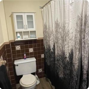 a bathroom with a toilet and a shower curtain at Serendipity Corner Guesthouse in Wilkes-Barre
