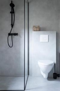 a bathroom with a toilet and a shower at Łyse Stodoły in Mordarka +53 photos