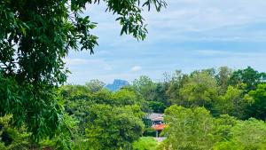 a house in the middle of a forest of trees at Aloria Sigiriya in Sigiriya +37 photos