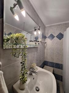 a bathroom with a sink with a plant on it at Sidirounta Village Apartment in Sidiroúnta