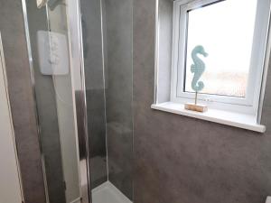 a bathroom with a shower and a window with a snake statue at 22 Longstone Park in Chathill +17 photos