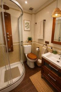 a bathroom with a toilet and a shower and a sink at Dúplex con Piscina y Terraza a 5 min de Sevilla in Camas