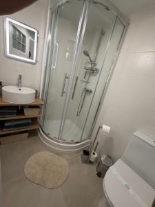 a bathroom with a shower and a sink and a toilet at La maison jaune in Roquebrune-Cap-Martin